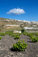 Estate Argyros | Santorini