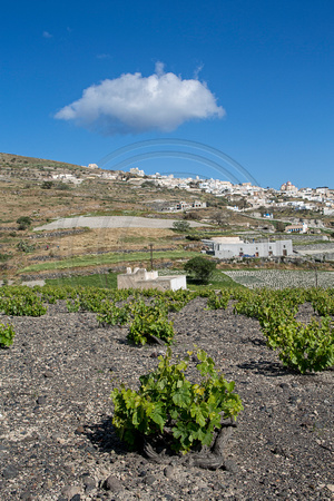 Estate Argyros | Santorini